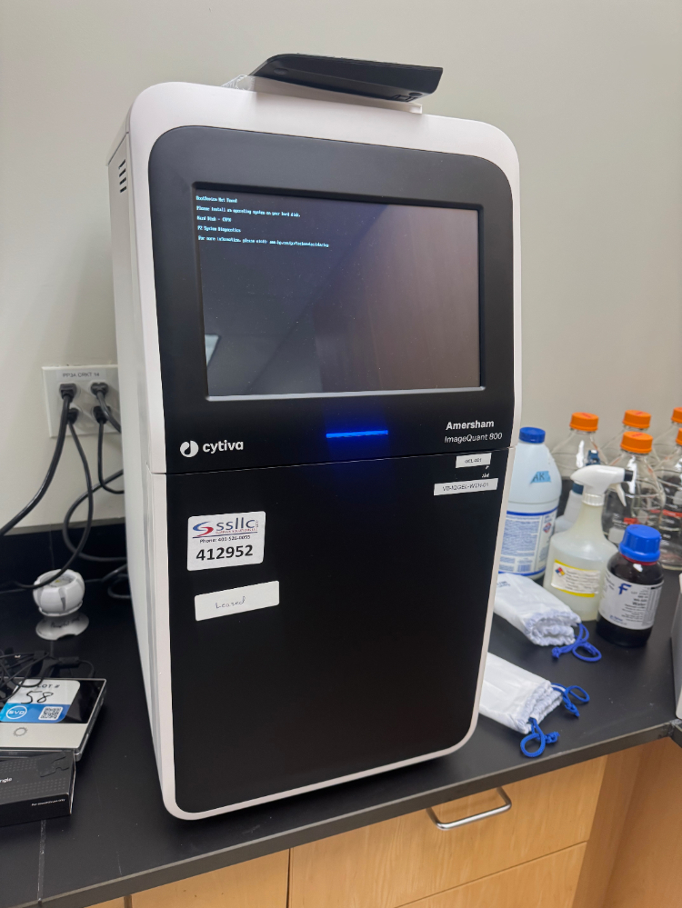 Image of Cytiva Amersham ImageQuant 800 Imager